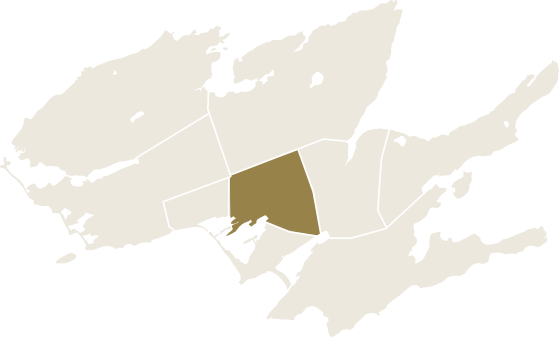Illustrated map of The County with the area of Bloomfield highlighted.