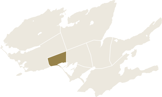 Illustration of a map of The County with the Wellington area highlighted.