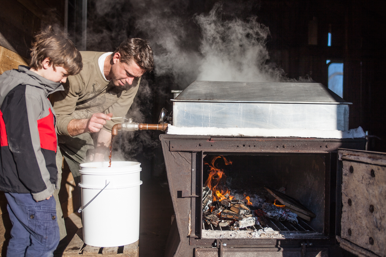 maple syrup LOHA Farms