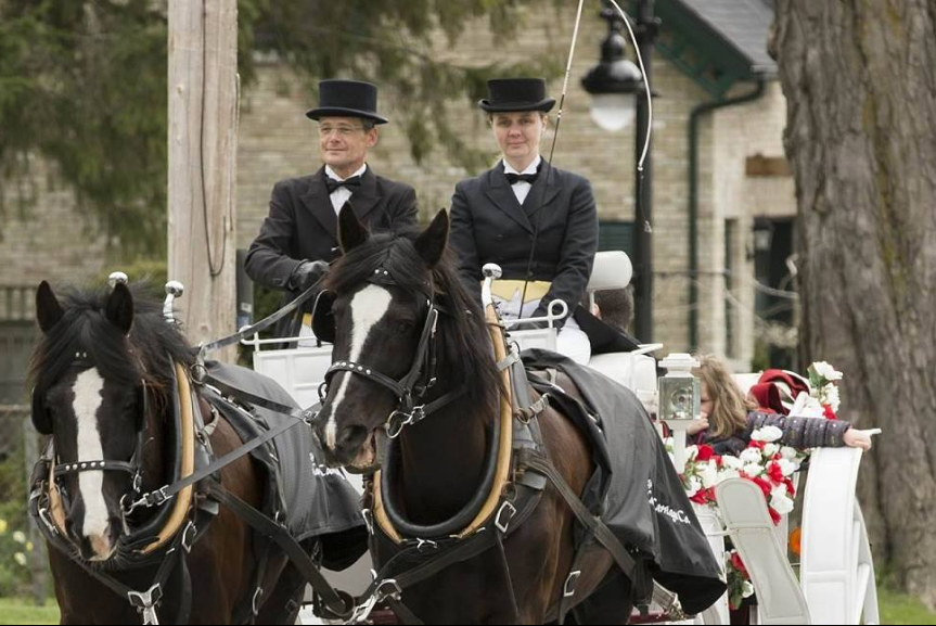 carriage horse wine tours