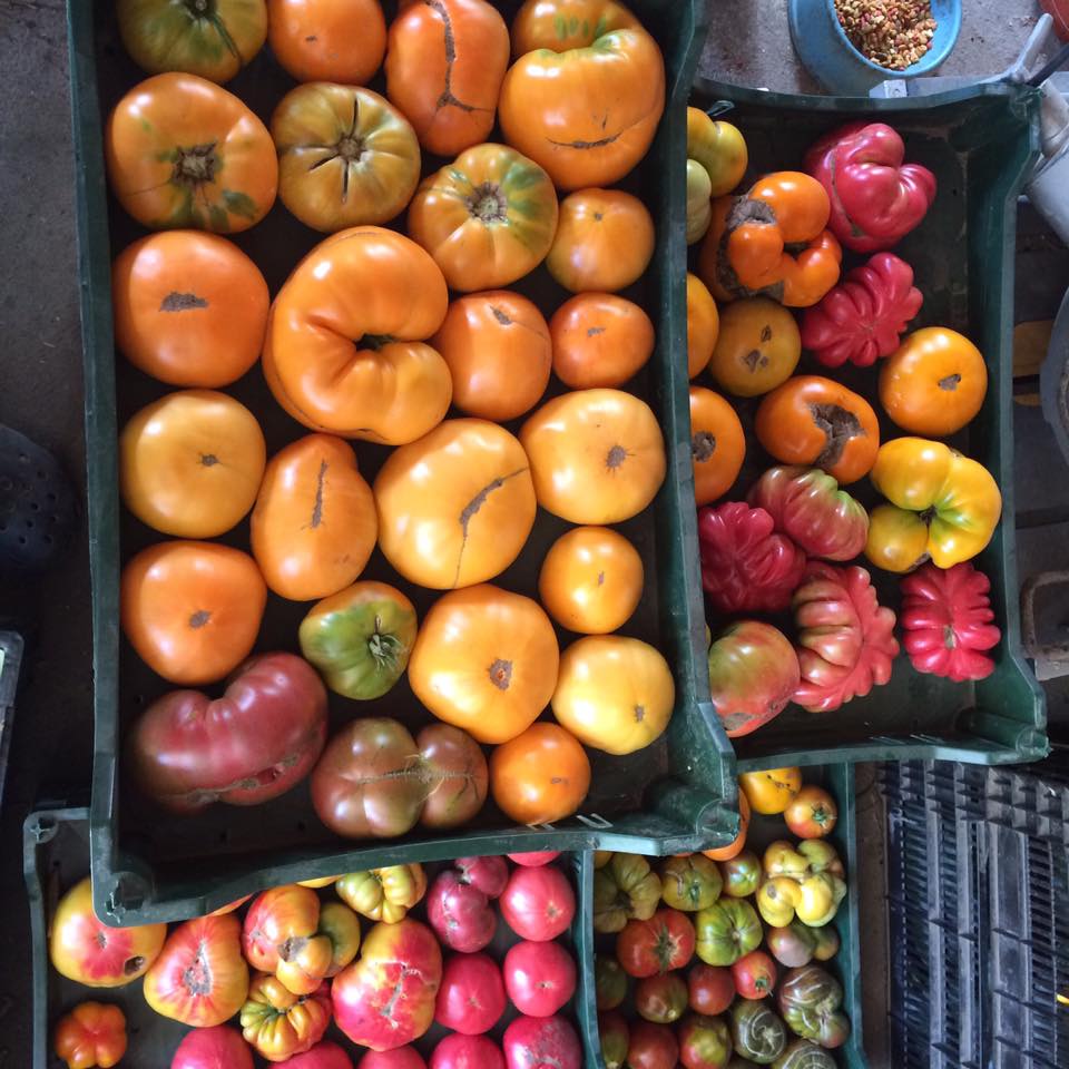 farm stand