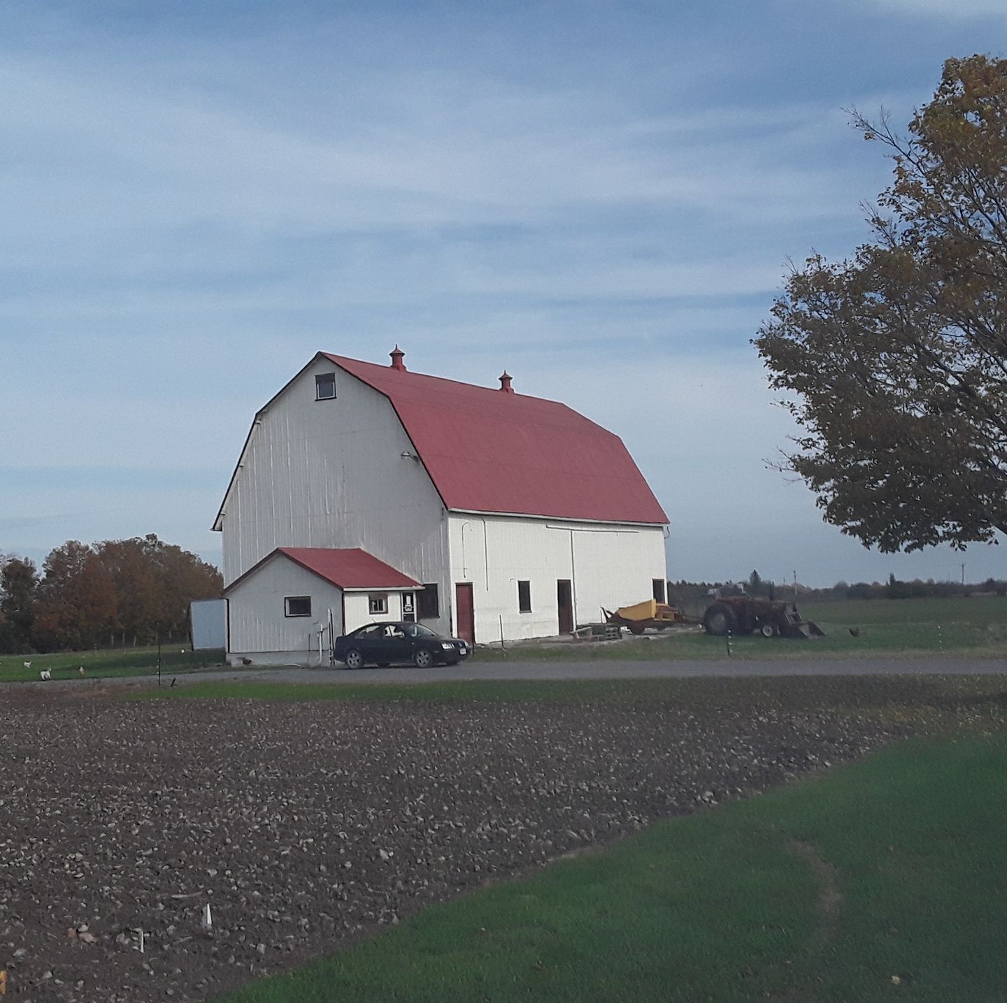 farm stand hillier vegetables chickens eggs