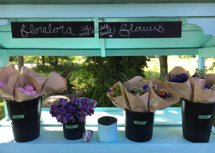 flowers perennials annuals floralora farm stand