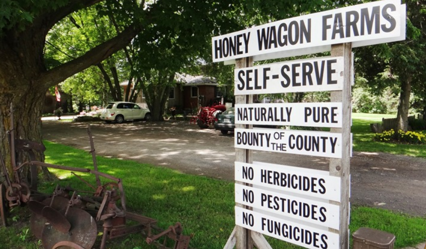farm stand maple syrup vegetables veggies