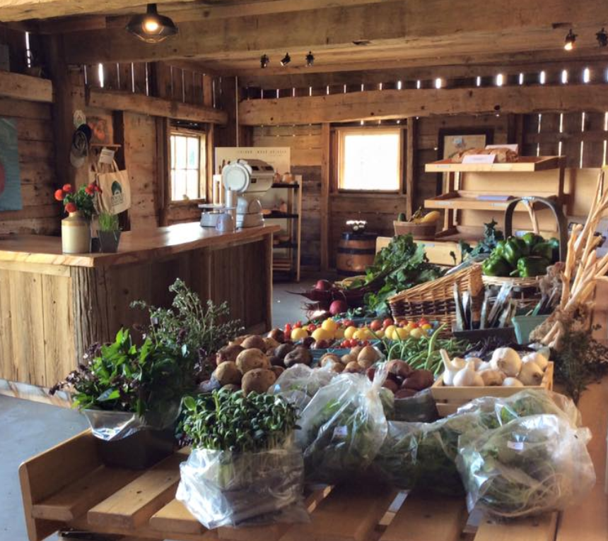 organic garlic tomatoes farm stand veggies vegetables